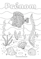 Coloriage gratuit Mer Poisson Coquillages Animaux marins ou aquatique