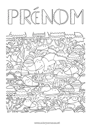 Coloriage à personnaliser Crocodile Animal Cherche et trouve Reptiles