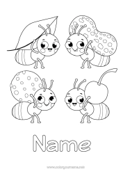 Colouring to customise Animal Ant Insects