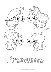 Pagină de colorat gratuită Animal Furnică Insecte