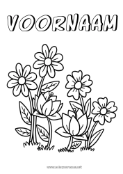 Gratis tekening Bloemen Lente