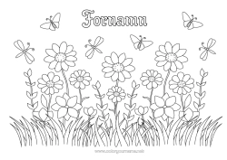 Gratis färgläggning Blommor Sommar Vår Fjäril Insekter Libellula