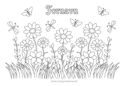 Gratis fargelegging Blomster Sommer Vår Sommerfugl Insekter Libelle