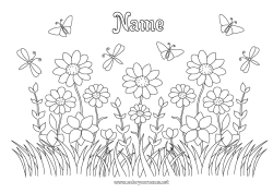 Coloring to customize Flowers Summer Spring Butterfly Insects Dragonfly