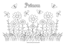 Coloriage gratuit Fleurs Été Printemps Papillon Insectes Libellule