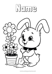 Free colouring Cute Flowers Spring Rabbit Animal Forest animals