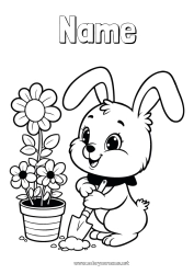 Free coloring Cute Flowers Spring Bunny Forest animals