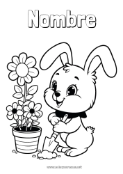 Dibujo libre Lindo Flores Primavera Conejo Animales Animales del bosque