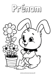 Coloriage gratuit Mignon Fleurs Printemps Lapin Animaux de la forêt