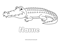 Free coloring Crocodile Animal Reptiles