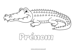 Coloriage à personnaliser Crocodile Animal Reptiles