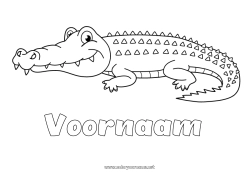 Gratis tekening Krokodil Dier Reptielen