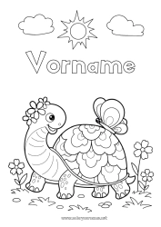 Malvorlage anpassen Blumen Schildkröte Sonne Schmetterling Tier Insekten Reptilien Landschildkröte