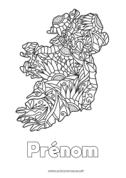 Coloriage gratuit Irlande Zentangle Carte des pays