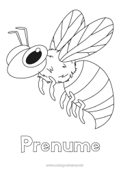Desen liber de colorat Animal Albină Insecte