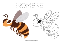 Colorear gratis Animales Abeja Insectos Colorear con Modelo