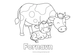 Gratis farvelægning Dyr Ko Gårdsdyr Baby