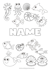 Colouring to customise Cute Cute Whale Jellyfish Animal Dolphin Fish Seahorse Shellfish Starfish Marine Or Aquatic Animals Octopus