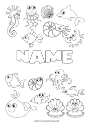 Coloring to customize Cute Kawaii Whale Jellyfish Animal Dolphin Fish Seahorse Sea Shell Starfish Marine or aquatic animals Octopus