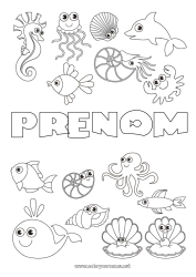 Coloriage gratuit Mignon Kawaii Baleine Méduse Animal Dauphin Poisson Hippocampe Coquillages Étoile de mer Animaux marins ou aquatique Pieuvre, poulpe