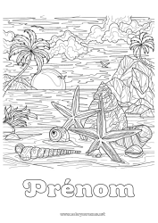 Coloriage à personnaliser Calme et zen Été Plage Mer Coquillages Coloriages complexes Étoile de mer Animaux marins ou aquatique