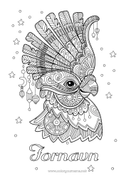 Farvelægningssiden tilpasning Dyr Carnival Papegøje Komplekse farvelægninger Zentangle Fugle og flyvende pattedyr
