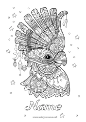 Free drawing Carnival Parrot Complex coloring pages Zentangle Flying birds and mammals