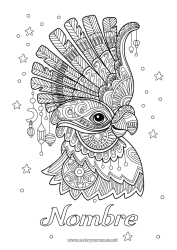 Colorear gratis Carnaval Loro Dibujos complejos para colorear Zentangle Aves y mamíferos voladores