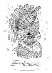 Coloriage à personnaliser Carnaval Perroquet Coloriages complexes Zentangle Oiseaux et mammifères volants