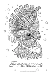 Pagină de colorat personalizată Animal Carnaval Papagal Desene de colorat complexe Zentangle Păsări și mamifere zburătoare