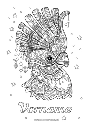 Kostenlose Malvorlage Tier Karneval Papagei Komplexe Ausmalbilder Zentangle Vögel und fliegende Säugetiere