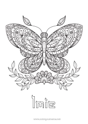 Kolorowanka za darmo Mandala Motyl Zwierzę Złożone kolorowanki Zentangle Owady
