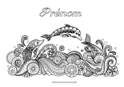 Dessin gratuit Mer Animal Dauphin Coloriages complexes Zentangle Animaux marins ou aquatique