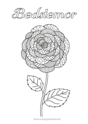 Farvelægningssiden for børn Blomster Zentangle Kamelia