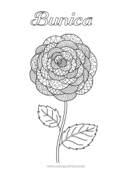 Pagină de colorat pentru copii Flori Zentangle Camelia