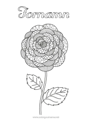 Gratis färgläggning Blommor Zentangle