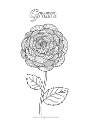 Free colouring Flowers Zentangle Camelia