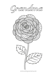 Free coloring Flowers Zentangle Camelia