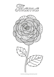 Kinder-Malvorlage Blumen Zentangle Kamelie