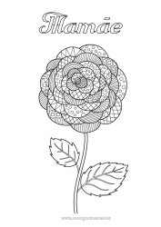 Página de desenho infantil Flores Zentangle Camélia