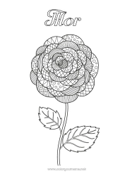 Farvelægningssiden for børn Blomster Zentangle Kamelia