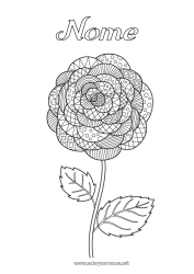 Página de desenho infantil Flores Zentangle