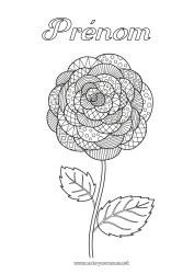 Coloriage gratuit Fleurs Zentangle