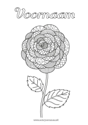 Gratis kleurplaat Bloemen Zentangle