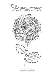 Kostenlose Malvorlage Blumen Zentangle