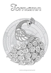 Gratis färgläggning Mandala Djur Påfågel Komplexa målarbilder Zentangle Fåglar och flygande däggdjur