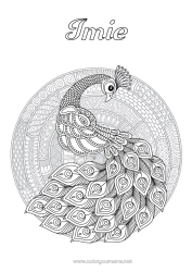 Kolorowanka za darmo Mandala Zwierzę Paw Złożone kolorowanki Zentangle Ptaki i latające ssaki
