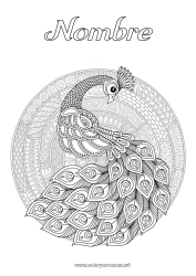 Colorear gratis Mandala Animales Pavo real Dibujos complejos para colorear Zentangle Aves y mamíferos voladores