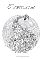 Pagină de colorat gratuită Mandala Animal Păun Desene de colorat complexe Zentangle Păsări și mamifere zburătoare