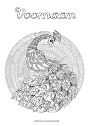 Kleurplaat aanpassen Mandala Dier Pauw Complex Kleurplaten Zentangle Vogels en vliegende zoogdieren